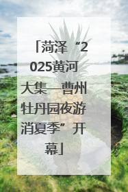 菏泽“2025黄河大集—曹州牡丹园夜游消夏季”开幕