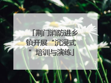 荆门消防进乡镇开展“沉浸式”培训与演练