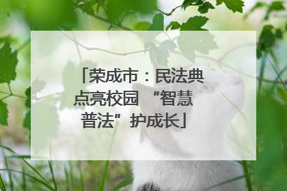 荣成市：民法典点亮校园 “智慧普法”护成长