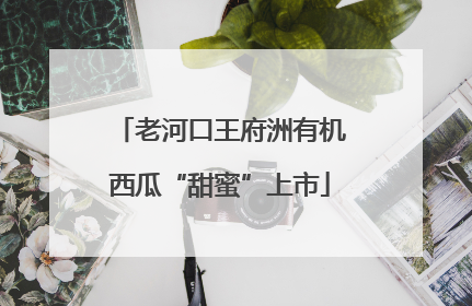 老河口王府洲有机西瓜“甜蜜”上市