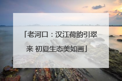 老河口：汉江荷韵引翠来 初夏生态美如画