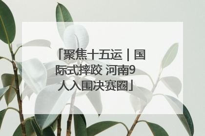 聚焦十五运｜国际式摔跤 河南9人入围决赛圈