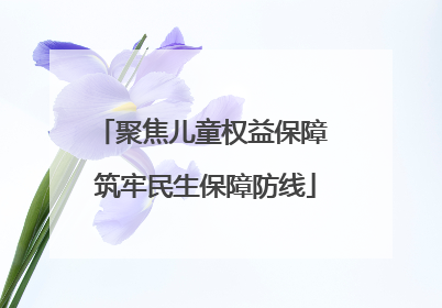 聚焦儿童权益保障 筑牢民生保障防线