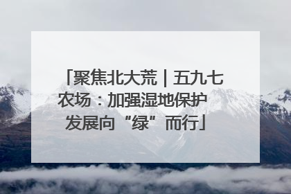 聚焦北大荒｜五九七农场：加强湿地保护 发展向“绿”而行