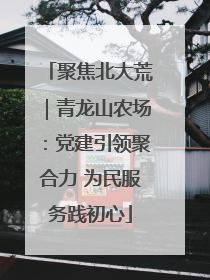 聚焦北大荒｜青龙山农场：党建引领聚合力 为民服务践初心