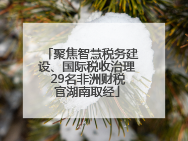 聚焦智慧税务建设、国际税收治理 29名非洲财税官湖南取经
