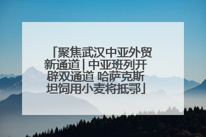 聚焦武汉中亚外贸新通道│中亚班列开辟双通道 哈萨克斯坦饲用小麦将抵鄂