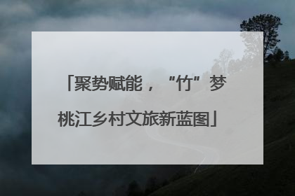 聚势赋能，“竹”梦桃江乡村文旅新蓝图