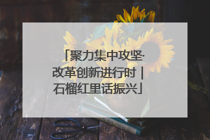 聚力集中攻坚·改革创新进行时｜石榴红里话振兴