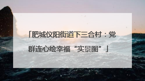 肥城仪阳街道下三合村：党群连心绘幸福“实景图”