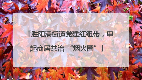 胜阳港街道党建红纽带，串起商居共治 “烟火圈”