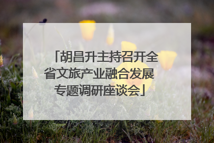 胡昌升主持召开全省文旅产业融合发展专题调研座谈会