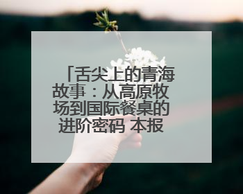 舌尖上的青海故事：从高原牧场到国际餐桌的进阶密码 本报记者 罗 珺