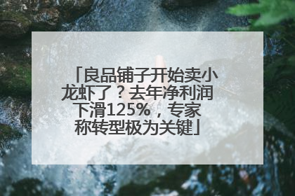 良品铺子开始卖小龙虾了？去年净利润下滑125%，专家称转型极为关键