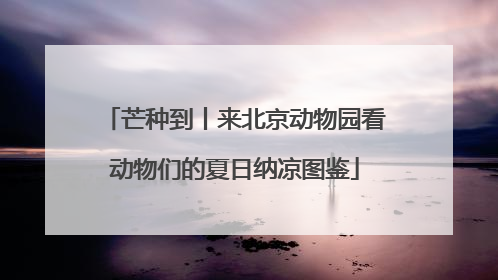 芒种到丨来北京动物园看动物们的夏日纳凉图鉴