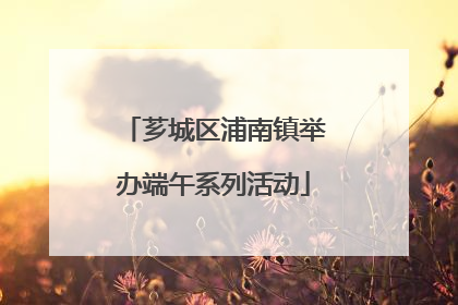 芗城区浦南镇举办端午系列活动