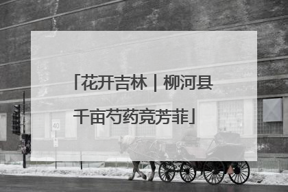花开吉林｜柳河县千亩芍药竞芳菲