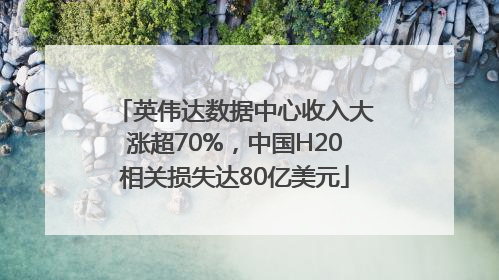 英伟达数据中心收入大涨超70%，中国H20相关损失达80亿美元