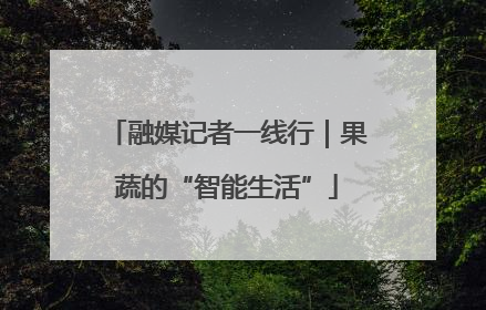 融媒记者一线行｜果蔬的“智能生活”