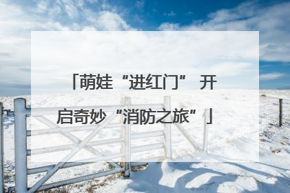 萌娃“进红门” 开启奇妙“消防之旅”