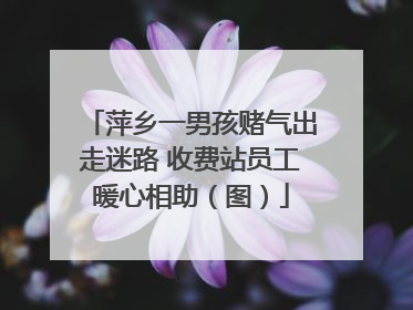 萍乡一男孩赌气出走迷路 收费站员工暖心相助（图）