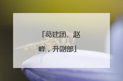 葛建团、赵峰，升副部
