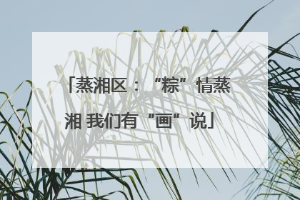 蒸湘区：“粽”情蒸湘 我们有“画”说