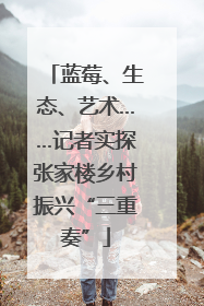 蓝莓、生态、艺术……记者实探张家楼乡村振兴“三重奏”