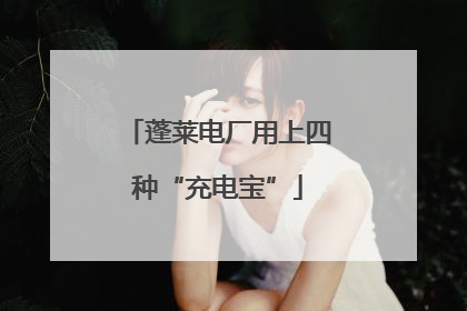 蓬莱电厂用上四种“充电宝”
