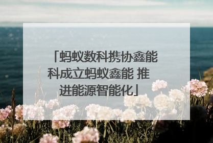 蚂蚁数科携协鑫能科成立蚂蚁鑫能 推进能源智能化