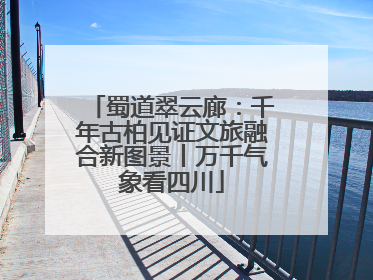 蜀道翠云廊：千年古柏见证文旅融合新图景丨万千气象看四川