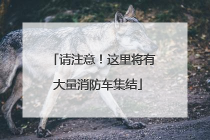 请注意！这里将有大量消防车集结