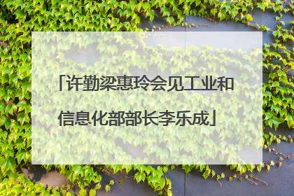 许勤梁惠玲会见工业和信息化部部长李乐成