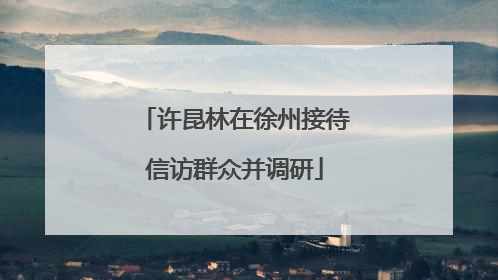 许昆林在徐州接待信访群众并调研