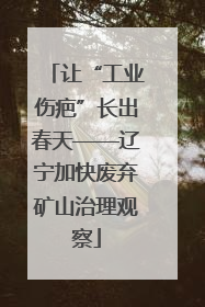 让“工业伤疤”长出春天——辽宁加快废弃矿山治理观察