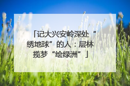 记大兴安岭深处“绣地球”的人：层林揽梦“绘绿洲”