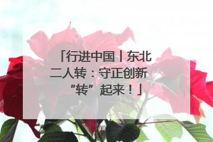 行进中国丨东北二人转：守正创新“转”起来！