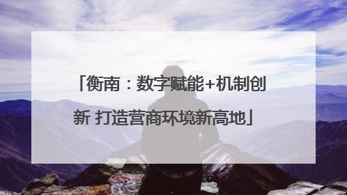 衡南：数字赋能+机制创新 打造营商环境新高地