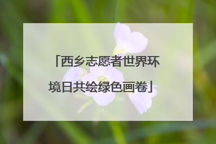 西乡志愿者世界环境日共绘绿色画卷