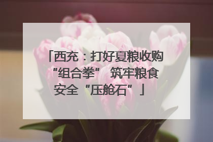 西充：打好夏粮收购“组合拳” 筑牢粮食安全“压舱石”