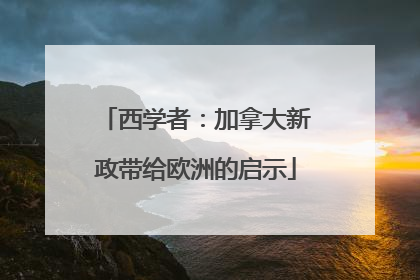 西学者：加拿大新政带给欧洲的启示