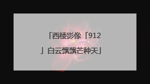 西楼影像「912」白云飘飘芒种天