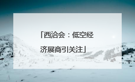 西洽会：低空经济展商引关注
