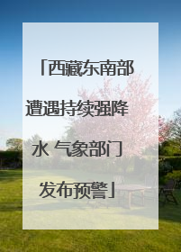 西藏东南部遭遇持续强降水 气象部门发布预警