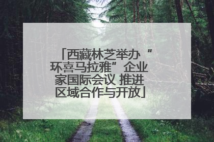 西藏林芝举办“环喜马拉雅”企业家国际会议 推进区域合作与开放