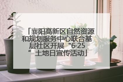 襄阳高新区自然资源和规划服务中心联合基层社区开展“6·25”土地日宣传活动