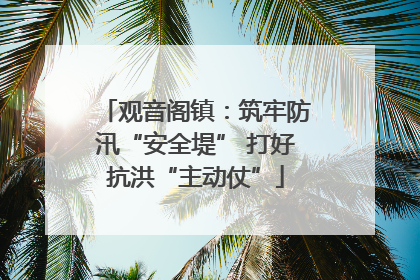 观音阁镇：筑牢防汛“安全堤” 打好抗洪“主动仗”