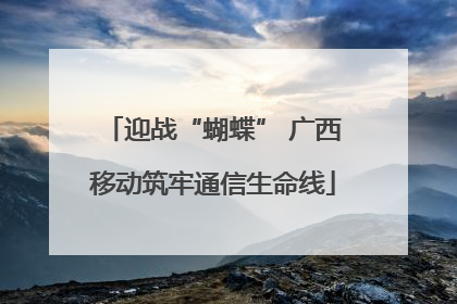 迎战“蝴蝶” 广西移动筑牢通信生命线