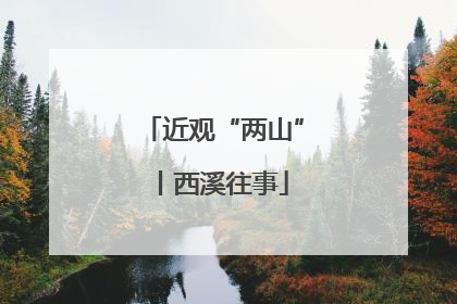 近观“两山”丨西溪往事