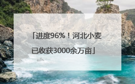 进度96%！河北小麦已收获3000余万亩